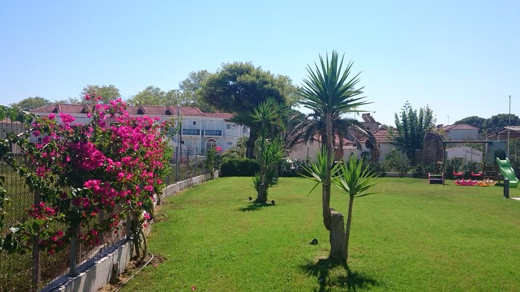 Zoi Apartments Tsilivi (Zakynthos) Quarto foto